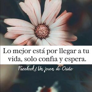 Meet your Posher, Nina